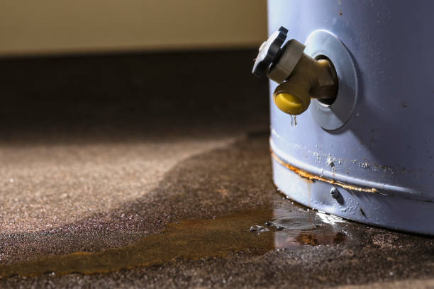 Best Ceiling water damage repair  in Fowler, CO