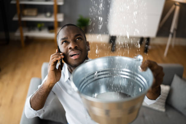 Best Carpet water damage restoration  in Fowler, CO