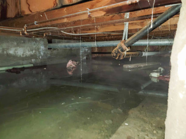 Best 24-hour water damage restoration  in Fowler, CO