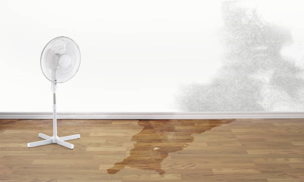Best Ceiling water damage repair  in Fowler, CO