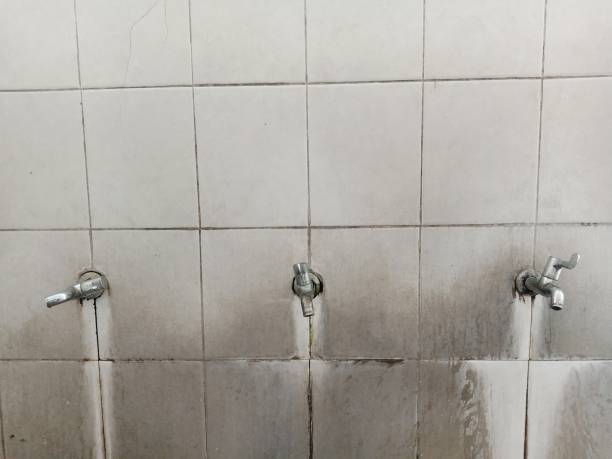 Best Commercial water damage restoration  in Fowler, CO