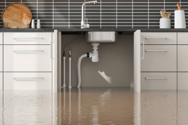 Best Residential water damage restoration  in Fowler, CO