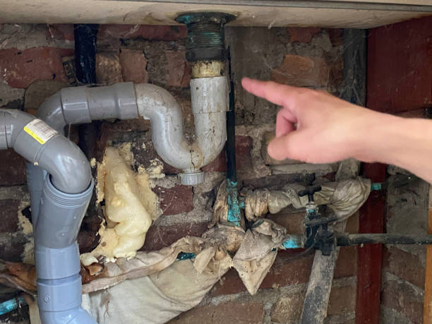 Best Water damage restoration near me  in Fowler, CO