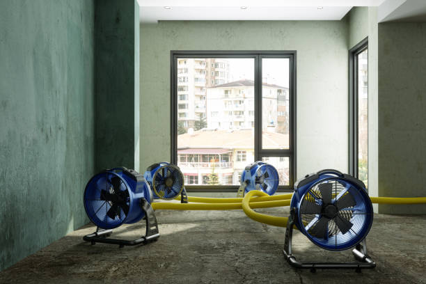 Best Water damage contractors near me  in Fowler, CO