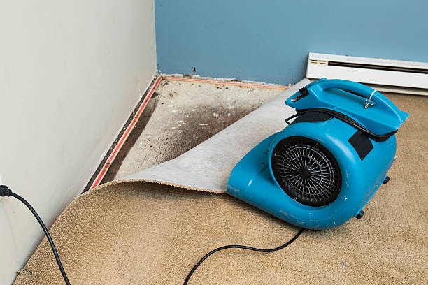 Best Flood damage cleanup  in Fowler, CO